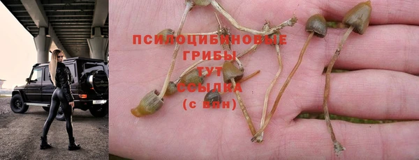 гидра Лихославль