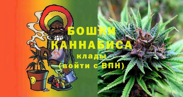 гидра Лихославль