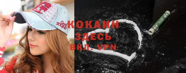 крисы Липки