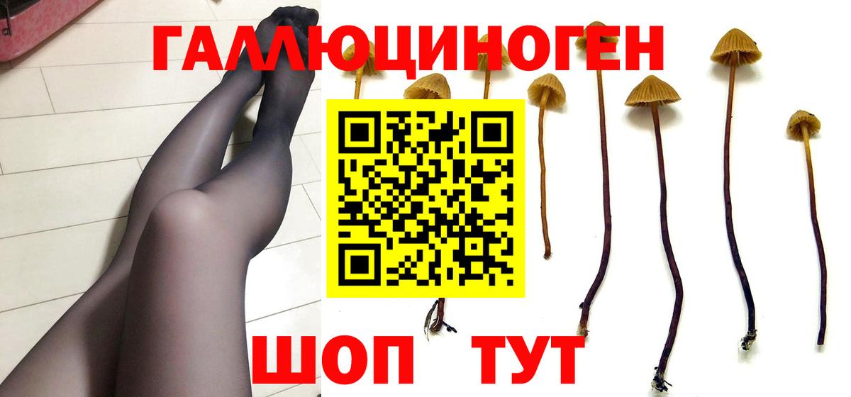 Галлюциногенные грибы мицелий Бердск