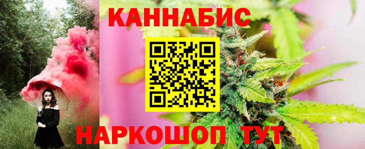 Бошки марихуана OG Kush  Вход с VPN  Бердск  МАРИХУАНА VHQ 